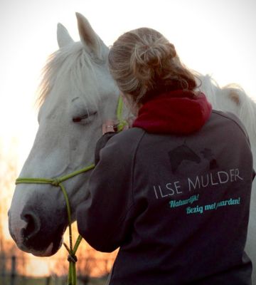 welkomzijn contact-3